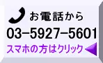 毎日オンラインレッスンデイリーコールのキャンペーンについて